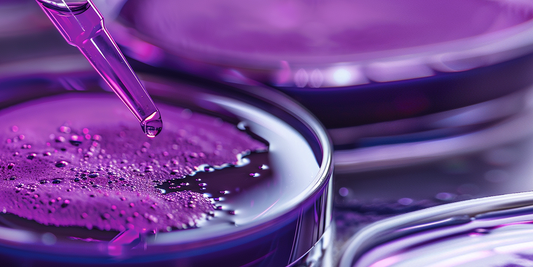 # The Future of K-Beauty: How Growth Factors (GF) Are Transforming Skincare
